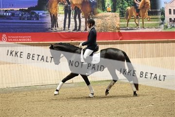 175676_avh_01_R62_4385.JPG