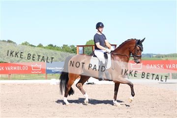 181449_bc_01R62_6118.JPG