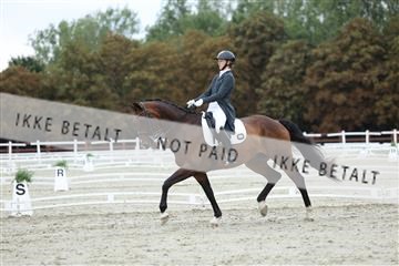 181923_mtp_01_R62_6897.JPG