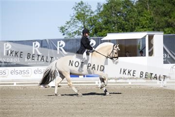 181449_kbb_01_6II9633.JPG