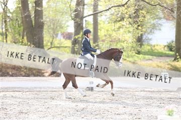 174512_mtp_01_3M5A7061.JPG