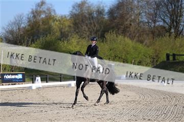 174572_jss_01_R6II9215.JPG