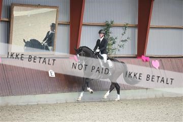 173883_mtp_01_3M5A1259.JPG