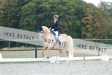 181894_mtp_04_R62_4061.JPG