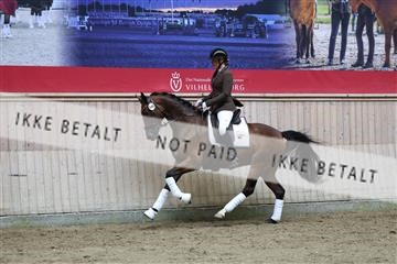 181887_mtp_02_R62_7927.JPG