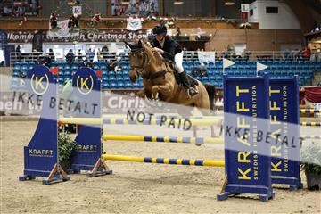 175934_avh_02_7242.JPG