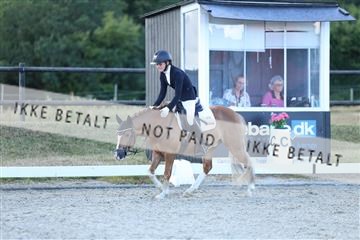 181894_mtp_05_R62_5423.JPG