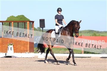 181449_bc_01R62_6233.JPG