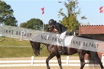 148862_sg_01_IMG_2592.JPG