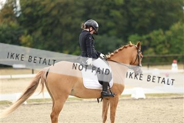 181894_mtp_03_R62_2440.JPG