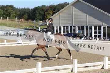 148862_sg_01_IMG_2502.JPG
