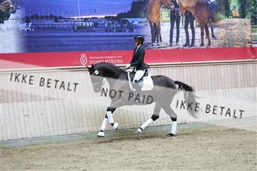 181887_mtp_04_R62_8576.JPG