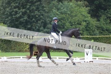 181957_mtp_01_3M5A7547.JPG