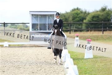 181894_mtp_05_R62_4326.JPG