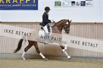 160111_nn_01__ESK1756.JPG