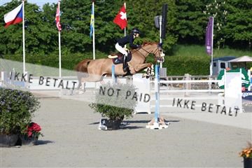 181436_avh_01_2920.JPG