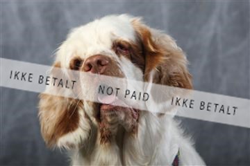 129608_le_ 01_0733.JPG