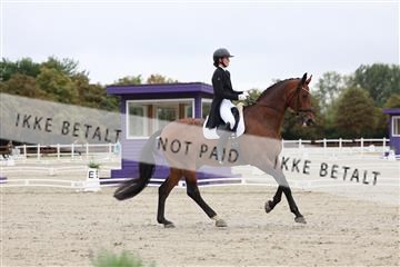 181923_mtp_01_R62_6305.JPG