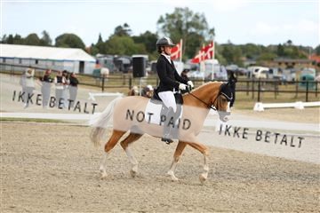 181894_mtp_03_R62_2551.JPG