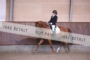 173821_mtp_01_3M5A9234.JPG
