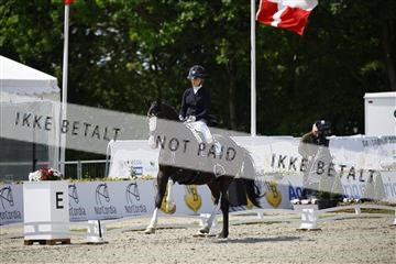 181449_kbb_02_6II0325.JPG