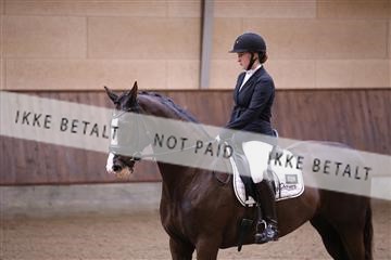 173821_mtp_01_3M5A8364.JPG