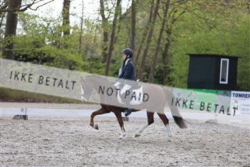 174512_mtp_01_3M5A7055.JPG