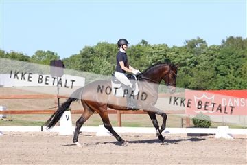 181449_bc_01R62_6235.JPG