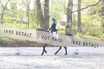 174512_mtp_01_3M5A7004.JPG