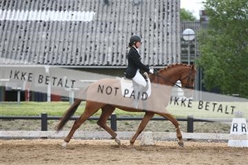 147698_nn_01_IMG_0150.JPG