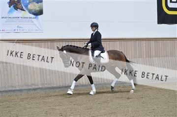160111_nn_01__ESK1286.JPG