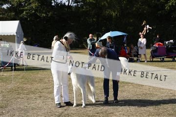 181848_kar_01__62_4769.JPG