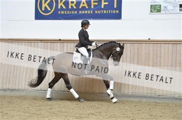 160111_nn_01__ESK1566.JPG
