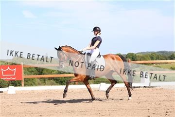 181449_bc_01R62_5931.JPG