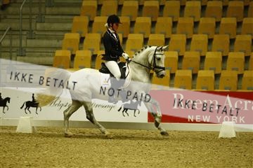 144963_ms_01__MG_9797.JPG
