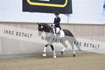 160111_nn_01__ESK1787.JPG