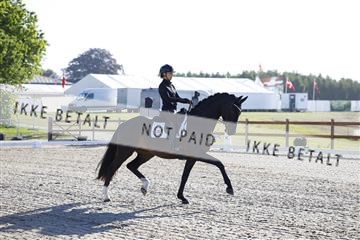 181449_kbb_01_6II8558.JPG