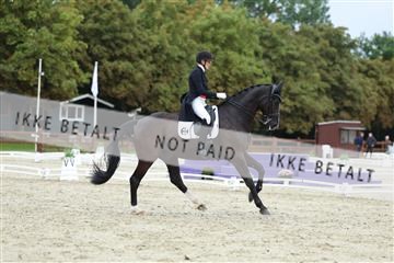 181923_mtp_01_R62_6864.JPG