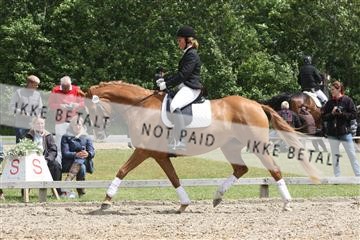 135518_ms_01_IMG_1740.JPG