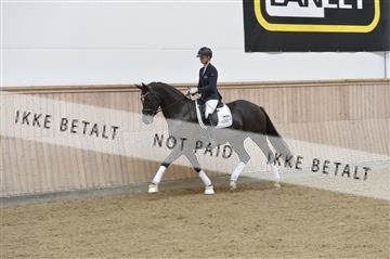 160111_nn_01__ESK1476.JPG