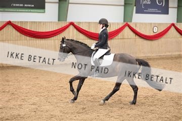 171342_mtp_01_3M5A7387.JPG