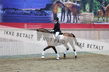 181887_mtp_02_R62_7683.JPG