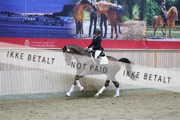181887_mtp_02_R62_7819.JPG