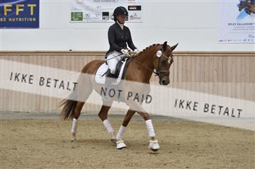 160111_nn_01__ESK2141.JPG