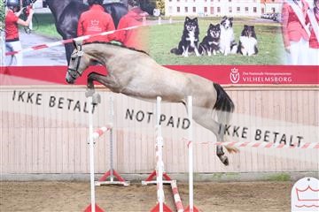 175170_kbb_01_R6II3975.JPG