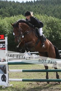 5925_ma_05_IMG_0931.JPG