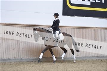 160111_nn_01__ESK1970.JPG