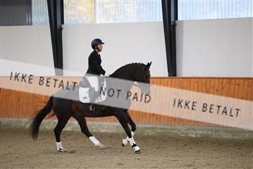 175681_avh_01_R62_9941.JPG