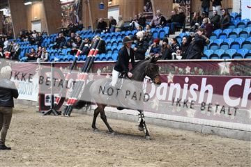 170217_abo_01_D05_5834.JPG