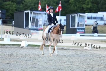 181894_mtp_05_R62_5382.JPG